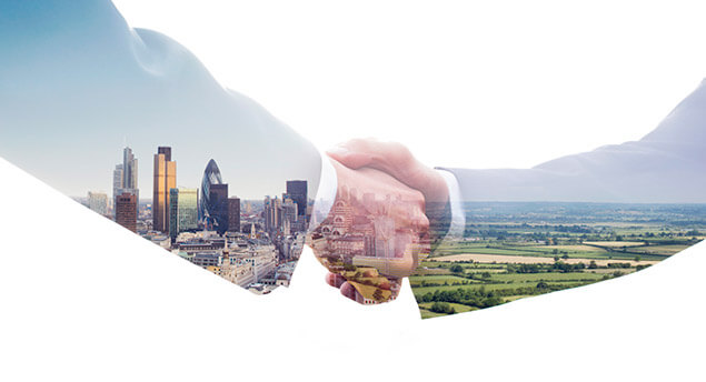 Trusy Consulting Asesoría Tributaria